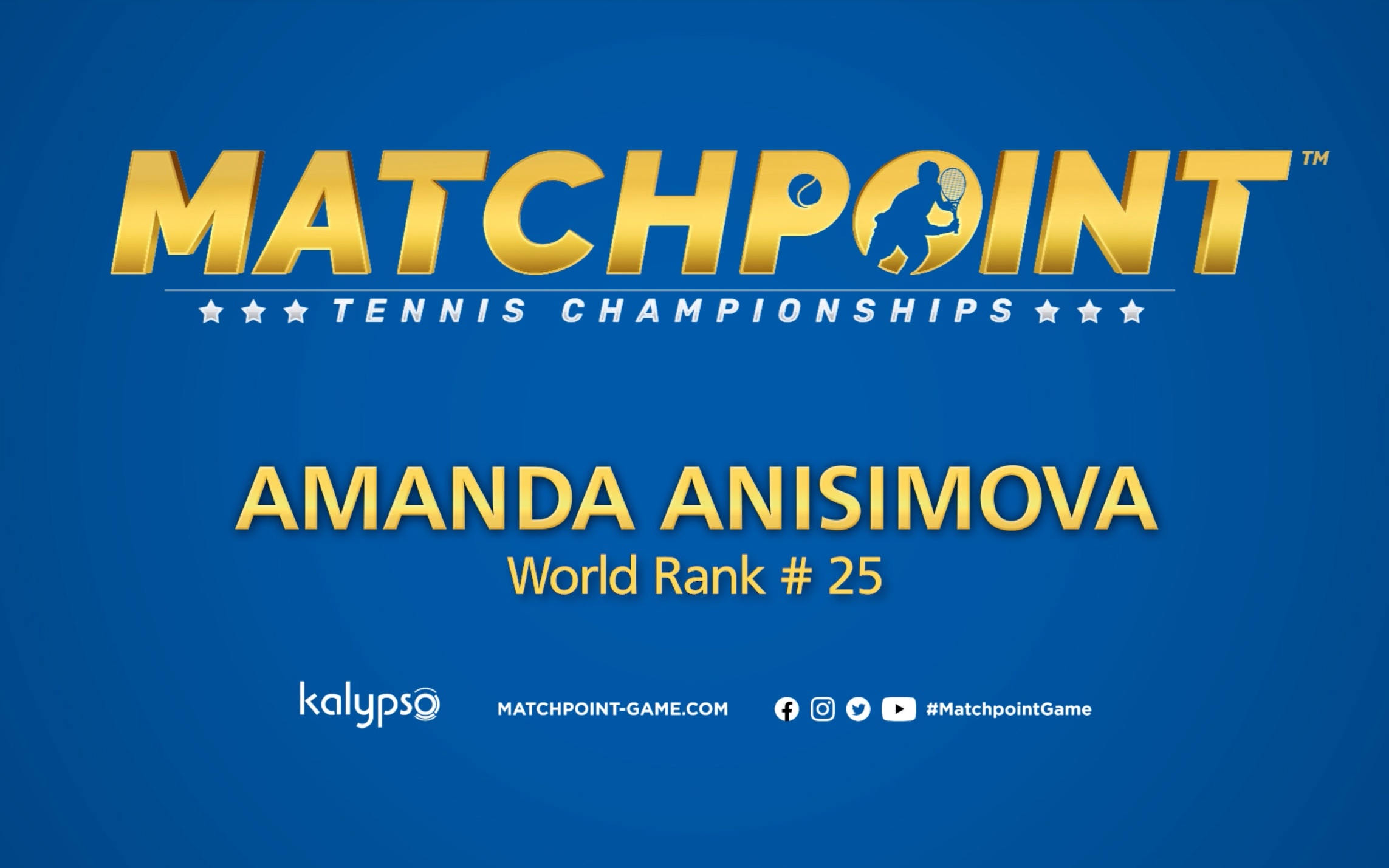 射命中球門 射命中球門